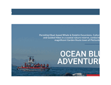 Tablet Screenshot of oceanadventures.co.za